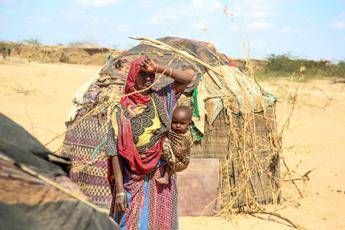 Effetti del El Niño, oltre 60 milioni di persone a rischio fame nel 2016 Effetti del El Niño, oltre 60 milioni di persone a rischio fame nel 2016
